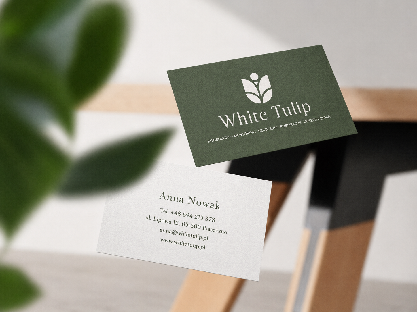 White Tulip — identyfikacja